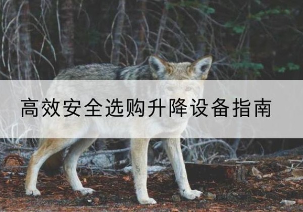 仙居升降货梯厂家推荐-*安全选购升降设备指南