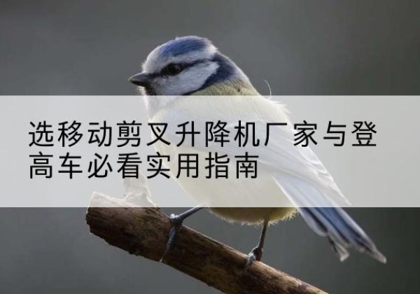 仙居电动升降机厂家-选移动剪叉升降机厂家与登高车必看实用指南