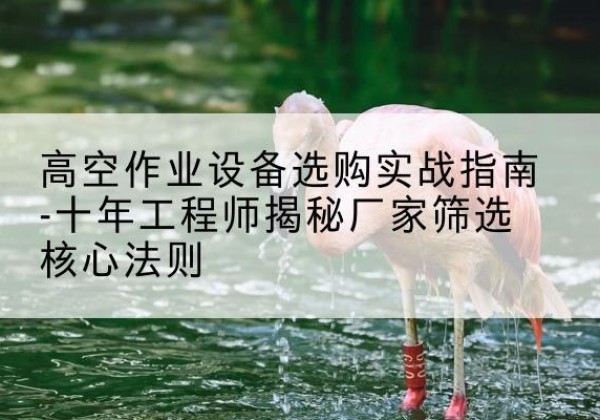 仙居剪叉式升降机厂家-高空作业设备选购实战指南-十年工程师揭秘厂家筛选核心法则